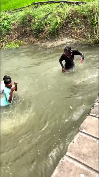 Cow fun 😂😂😂😂😂😂😂😂😂😂😂 #funny #cow #viral #funny #trending #dailymotion #fyp #foryoupage #entertainment #laugh