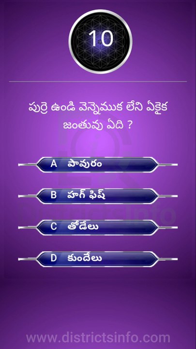 GK Questions in Telugu|| General Knowledge. Questions Telugu || Interesting Questions Telugu#gkquiz #gk #generalknowledge #gkquestion #gkchallenge #generalknowledgequestions #techgrowtelugu #telugugk #teluguquiz #compitativeexams #gktricks