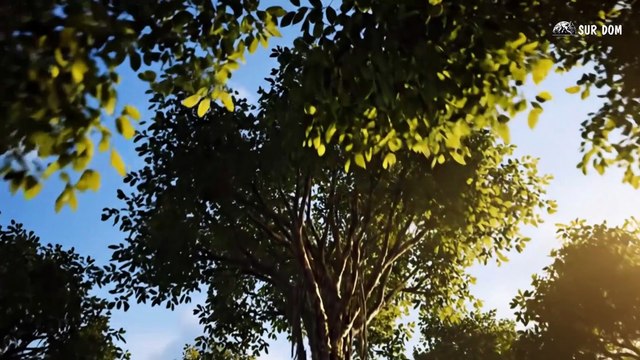 Part 56 - A Girl Alone Surviving In The Forest - True Power of Mother Nature & the Young Bird Battle