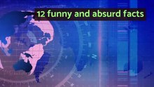 12 funny and absurd facts