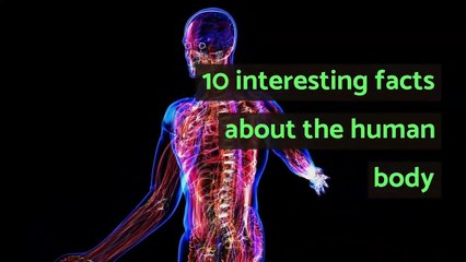 10 interesting facts about the human body
