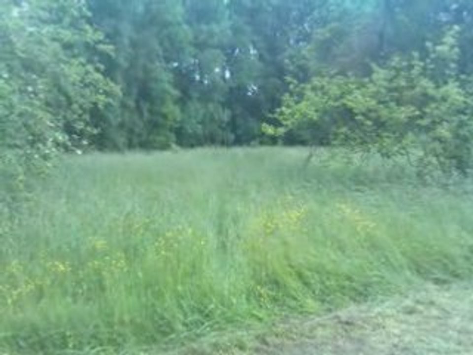 entrainement Vickie 24-05-08