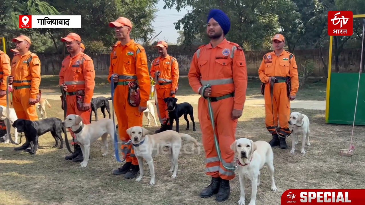 NDRF के कैडेवर डॉग्स ने धराली के बाद श्रीलंका रेस्क्यू ऑपरेशन में किया कमाल, देखिए-शवों को ढूंढ निकालने की स्पेशल ट्रेनिंग