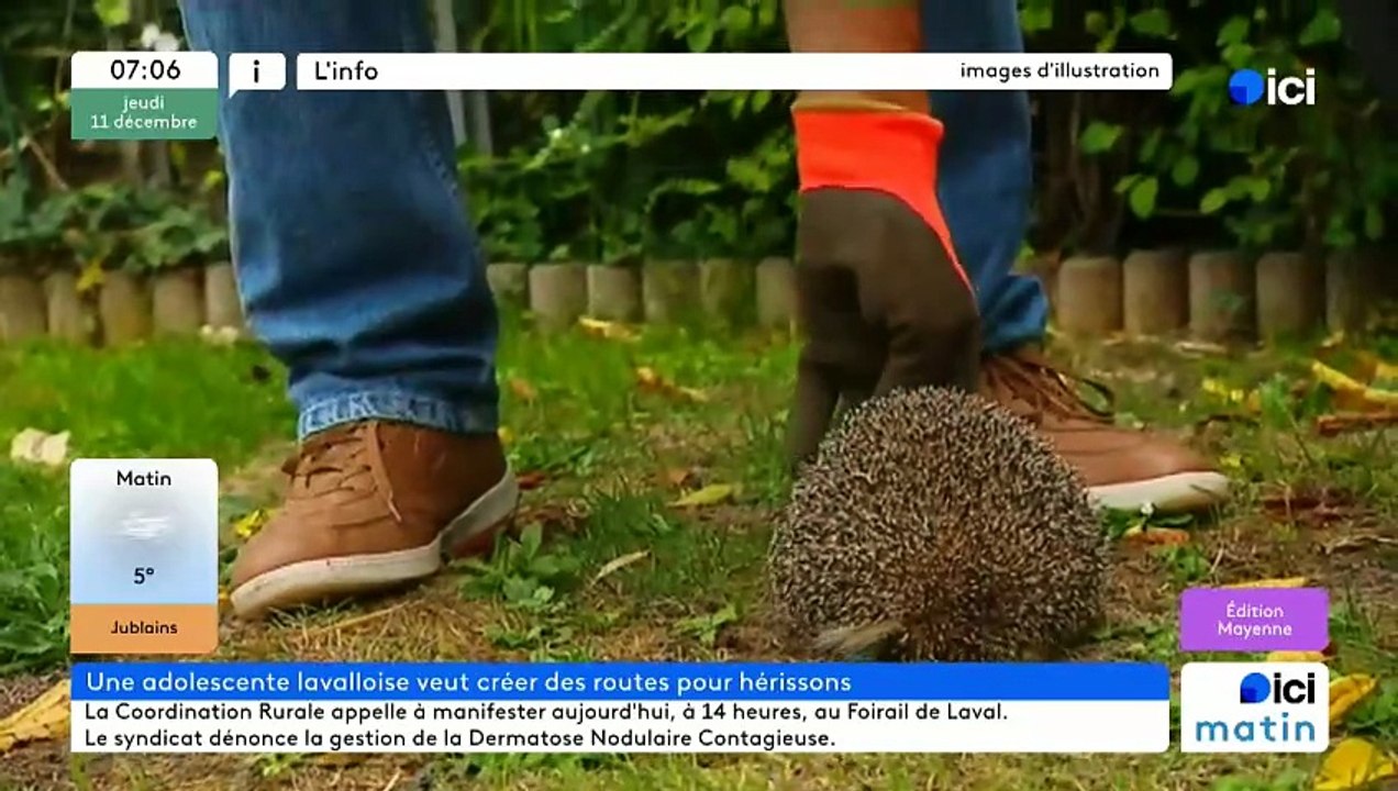 11/12/2025 - ici matin par ici Mayenne en vidéo