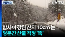 [날씨] 밤사이 강원 산지 10cm 눈...당분간 산불 걱정 '뚝' / YTN