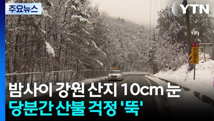 [날씨] 밤사이 강원 산지 10cm 눈...당분간 산불 걱정 '뚝' / YTN