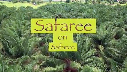 Safaree Samuels Has The Most Swag Of Any Rapper Alive