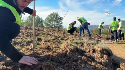 Bursa'da bal ormanı oluşturuldu!