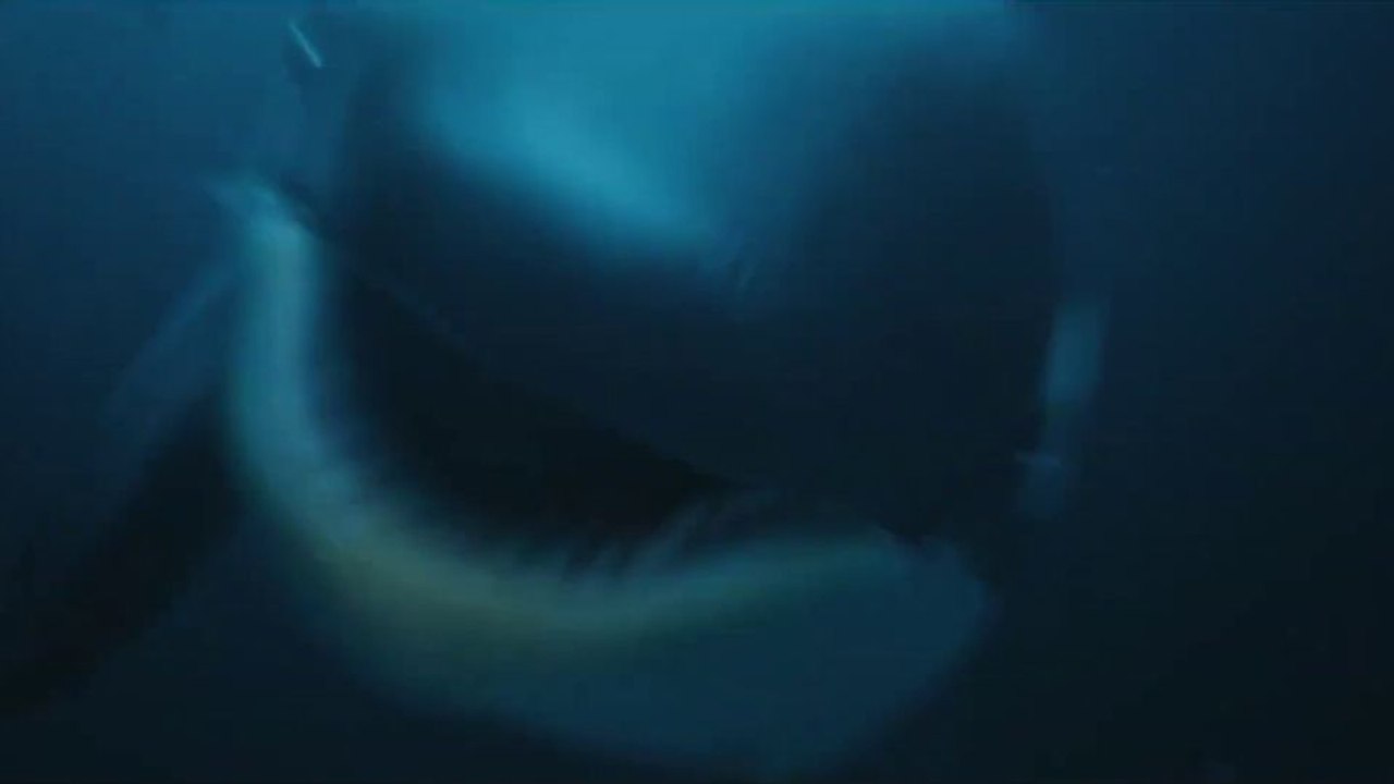 Killer Whale Trailer OV
