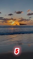 “5 Seconds of Action Beats 5 Hours of Thinking.”