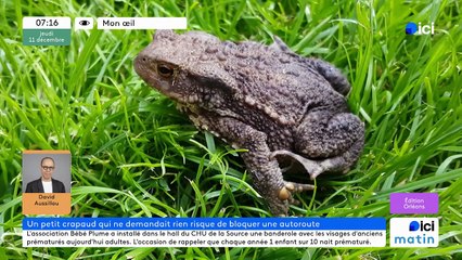 11/12/2025 - ici matin par ici Orléans en vidéo