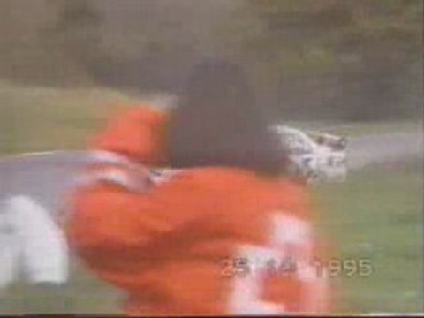 Cars - Mitsubishi Lancer EVO Rally Car Crash @ 80mph