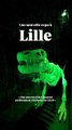 Art of the Brick, c’est l’exposition mondiale entièrement réalisée en LEGO qui débarque à Lille📍Euratechnologie, 165 avenue de Bretagne, Lille 59000🗓️ Décembre 2025🕞 9h - 19h💶 12,90€ 🧒 9,90€