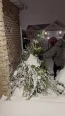 Guy Slips and Falls Into Bushes While Clearing Snow Off Shrubs