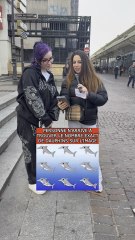 La bonne réponse ? ✌🏽 Instagram Sophieonly1 #quiz