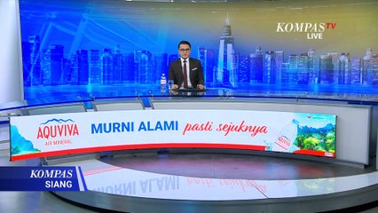 Polemik 4 Gajah Sumatera Diterjunkan Bersihkan Puing Banjir di Pidie Jaya, Aceh