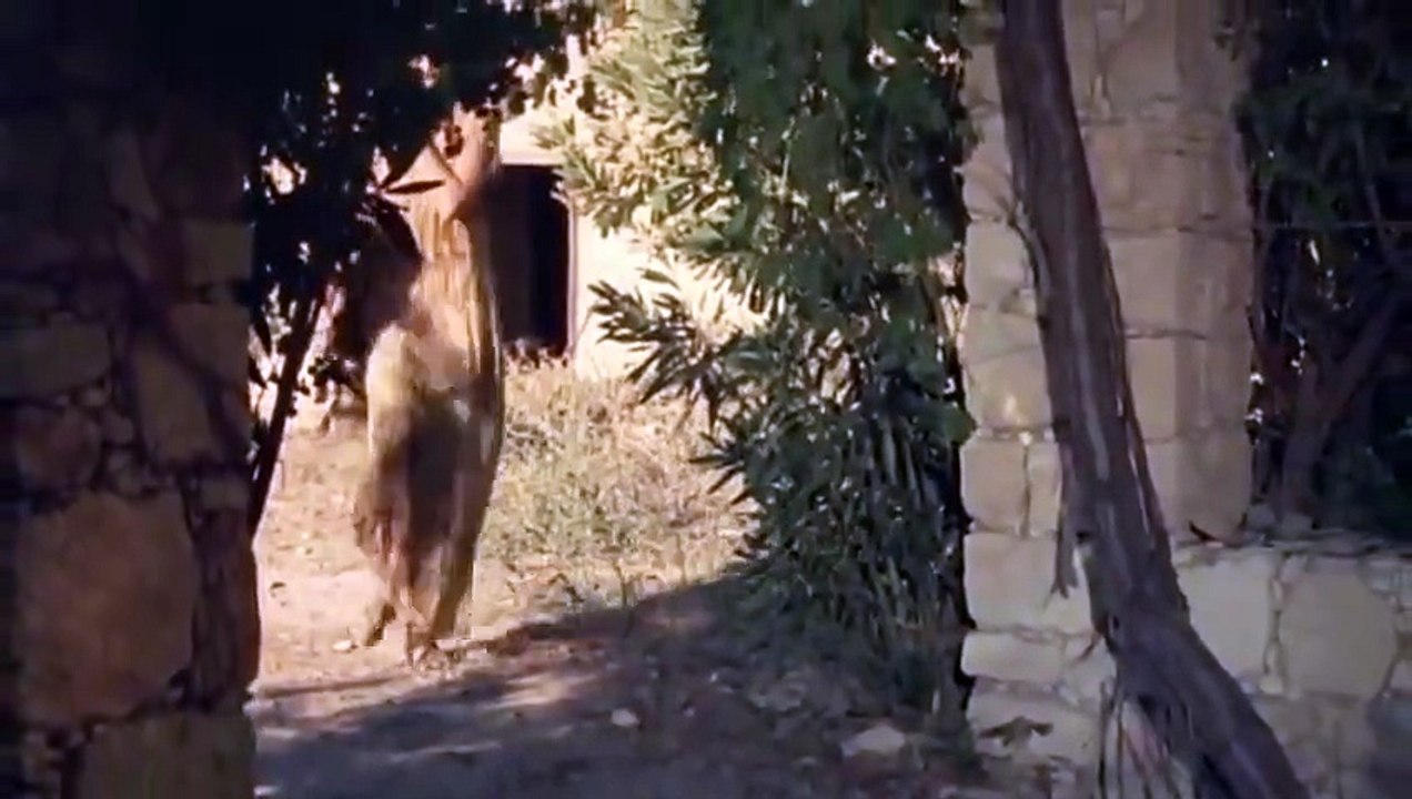 τελευταίος γυρισμός (2008)