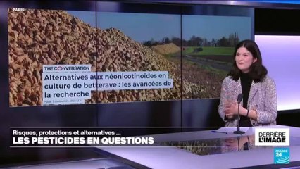 Derrière l'image : risques, protections et alternatives... Les pesticides en questions