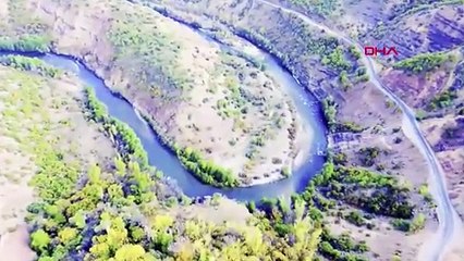 Nesli tehlike altındaki Anadolu Parsı meraklı gözlere büyük bir sürpriz yaptı!