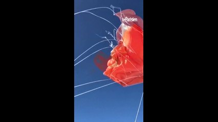 Un parachutiste reste accroché à la queue de son avion