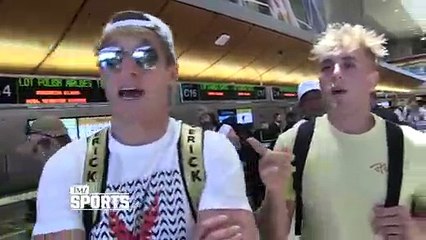 Logan Paul Slams Dana White For Dissing His Fighting Skills VIDEO | Hollywoodlife