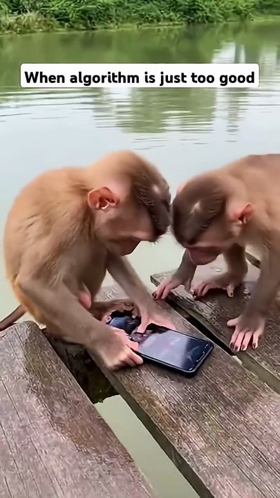 Too late to scroll back... 😅 #scroll #monkey #fyp #funny