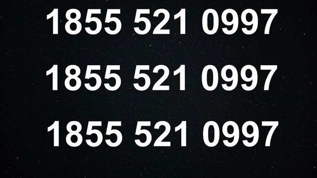 How do I speak to a human at TRENDMICRO customer service?