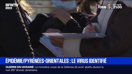400 élèves intoxiqués dans les Pyrénées-Orientales: un norovirus identifié dans des analyses