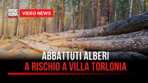 Abbattuti alberi a rischio a Villa Torlonia