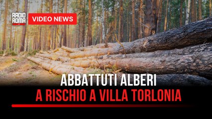 Abbattuti alberi a rischio a Villa Torlonia