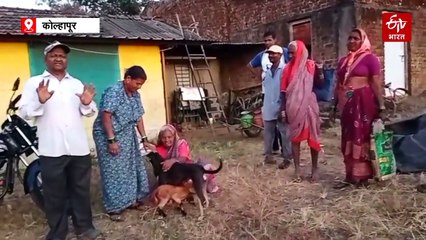 मादी श्वानानं दिलं शेळीच्या पिल्लाला मातृत्व; प्राण्यांमध्ये भावना जिवंत, मादी श्वान शेळीच्या पिल्लाला पाजते दूध