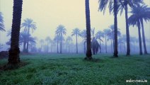 Effetto climate change: una fitta nebbia ricopre l'Iraq centrale