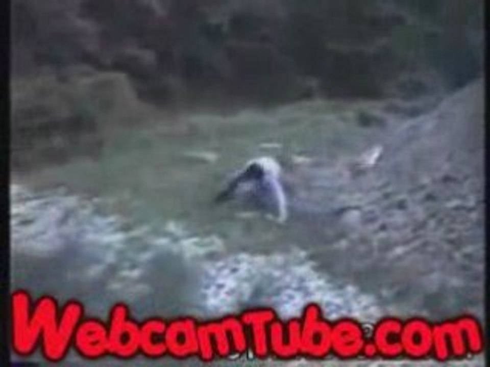 Idiot Learns Not to Jump Off a Mound of Rocks