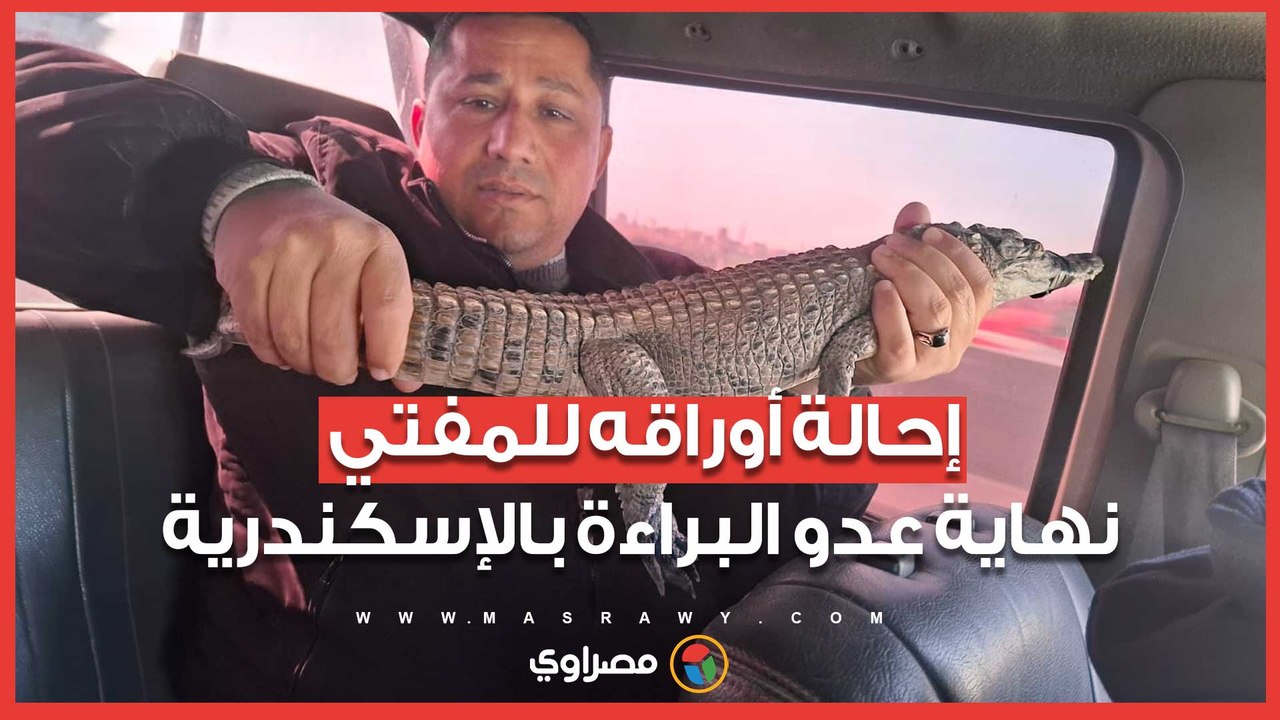 شاهد تمساح الزوامل بالشرقية بعد الإمساك به