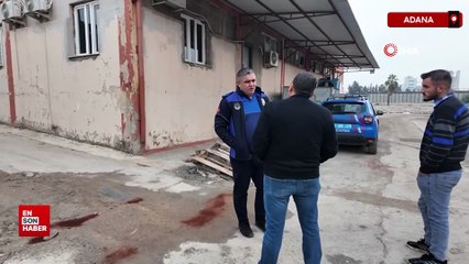 Adana’da depoda kokmuş tavuklar imha edildi