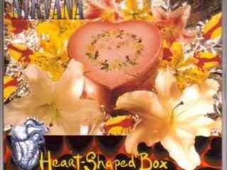 Cover nirvana heart shaped box