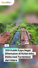 300 Kubik Kayu Ilegal Ditemukan di Hutan Inhu, Disita Usai Terdeteksi dari Udara