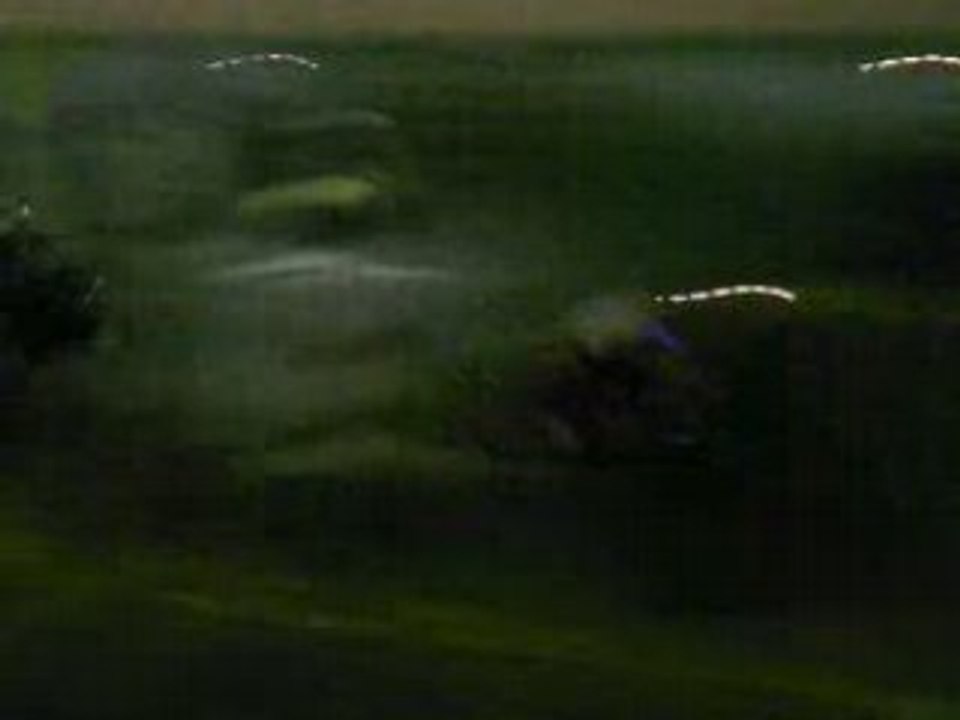 Run parinor (4)