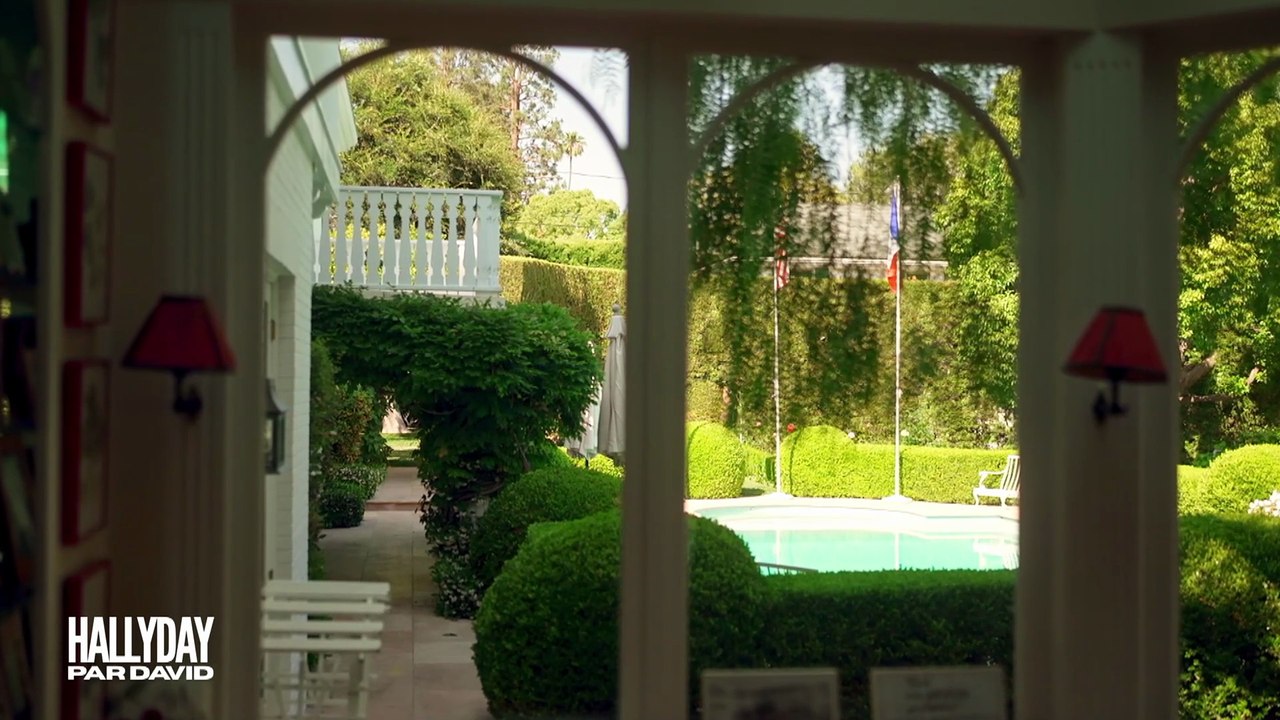 2025 – David Hallyday – Hommage à Johnny Hallyday (Documentaire)