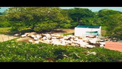 Mi Verdad Oculta Capítulo 24 Completo En Español