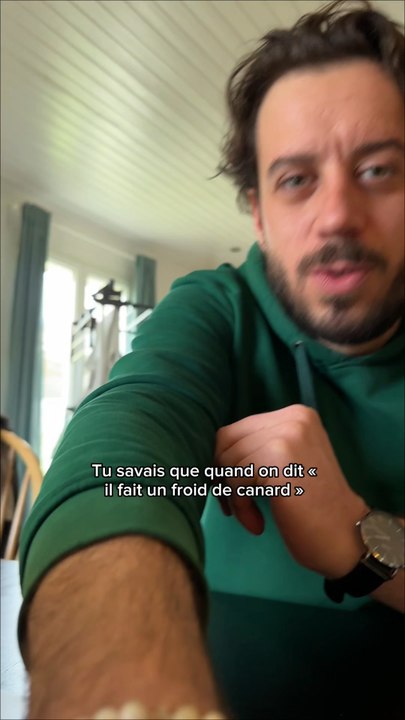 Pourquoi on dit : « il fait un froid de CANARD » ?! 🦆