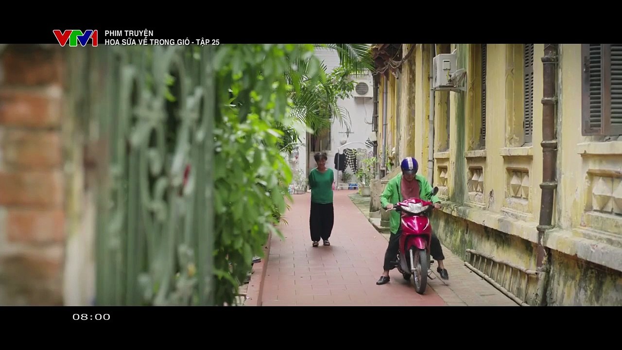 Hoa sữa về trong gió - Tập 25 -