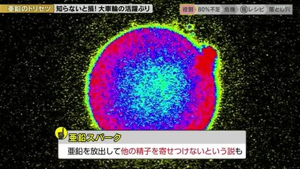 あしたが変わるトリセツショー 2025年日12月11日 カラダ喜ぶ!「亜鉛」不足の疲労and肌荒れが改善!.