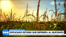 Secretaría de Salud deberá explicar defensa del glifosato | Noticias con Francisco Zea