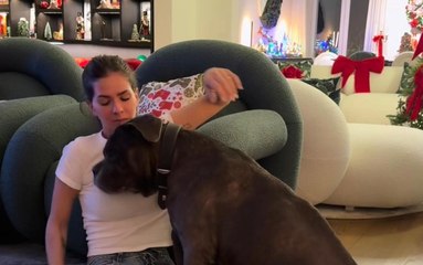 VIDEO / Momenti di tenerezza a casa Icardi: la fidanzata China Suarez si coccola il cane