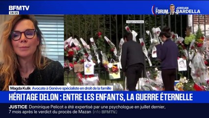 L'exclusion d'Anouchka Delon du testament de son père "est quasiment impossible à atteindre", affirme une avocate suisse