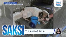 Aso, pinutulan ng dila | Saksi