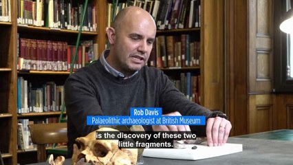 A burning discovery: Did the first human firestarters live 350,000 years earlier than thought?