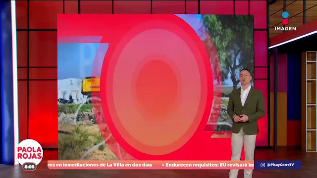 Detienen a El Limones , presunto operador de Los Cabrera | DPC con Paola Rojas