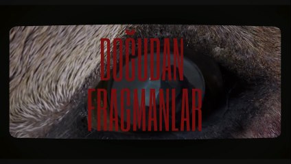 Doğudan Fragmanlar | Fragman